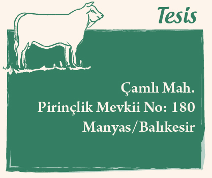 kasabim ethane kasaplarimiz restaurant